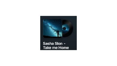 Sasha Slon - Take me Home