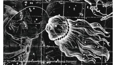 I XL − The Coma Berenices constellation (Созвездие Волосы Вероники)