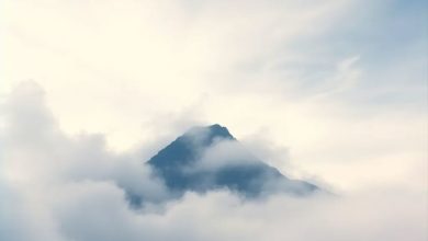 IVox - My Side of the Mountain
