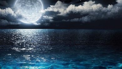 Liquid World - What about night