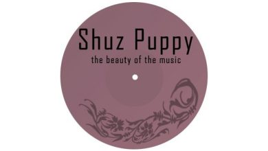 KILLTEQ x VALLHEE - Город Ночной (Shuz Puppy bootleg)ver1