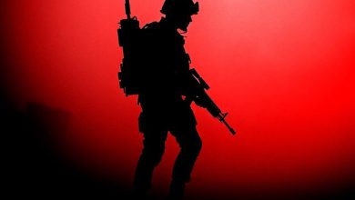 ASPARAGUSproject - In The Army Now