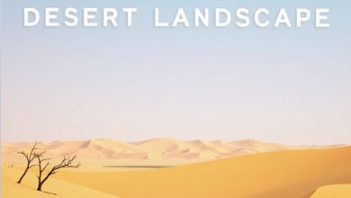 Clean Shaven - Desert Landscape