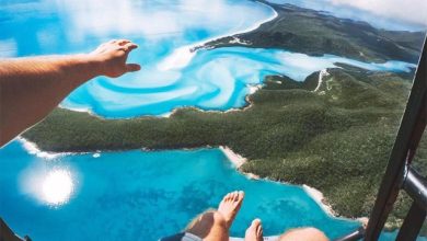 SLAVA SKRIPKA - Бобр (Vadim Safin Club Remix)
