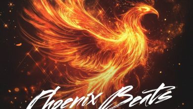 Phoenix Beats by Dj Zhukovsky #9