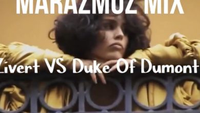 Zivert VS Duke Dumont - Один процент Океана (marazmuz MashUp)