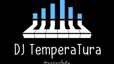 Fun Factory feat. Timi Kullai & Zivert - Take Your Chance (DJ TemperaTura Remix)