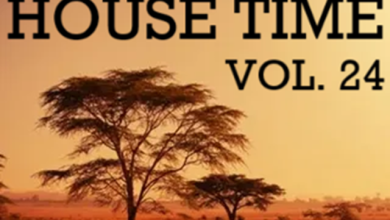 DJ Bolshak - House Time Vol. 24