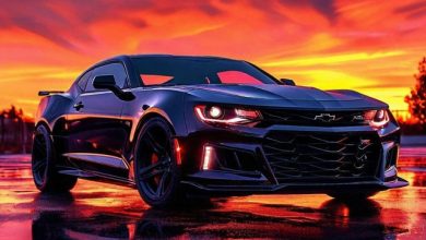 Walle Roni - Camaro ( Demo ) ( Release 8 March 2025)