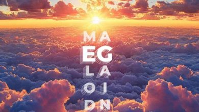 HALL HOGAN - MELODICAGAIN #2