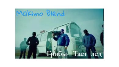 Грибы x Dj Tarantino & Dj Dyxanin - Тает лёд (Makhno Blend)