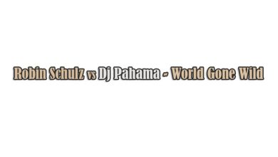 Dj Pahama vs Robin Schulz - World Gone Wild