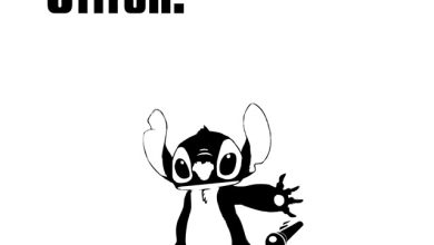 VCrash - Stitch