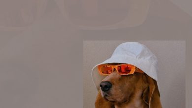 МУЗГОСТ #415 @ Music Podcast [11.04.25] #415