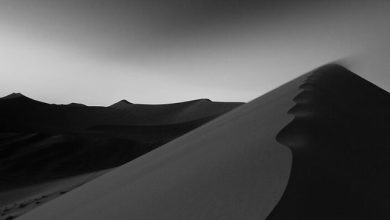 Nikita Sevastyanov - Macromusic Podcast 007