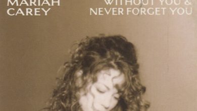 Mariah Carey - Without You (Alex Work Afro remix)