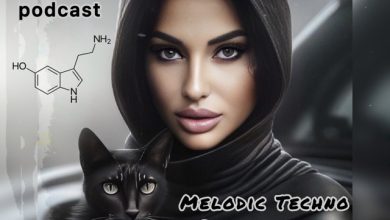 ANIDARK - Serotonin Interaction Podcast #30