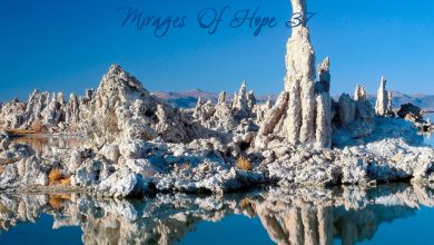 Wind Of Buri - Mirages Of Hope 37