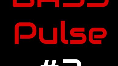 DJ TITAN - BASS PULSE #2 (LIVE MIX)