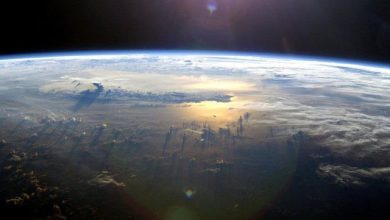 Danned Must - You Know
