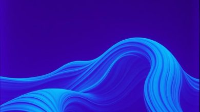 WaveFeelness