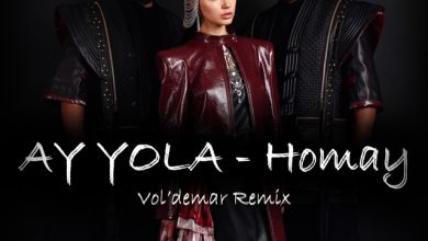 AY YOLA - Homay (Vol'demar Remix)