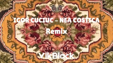 Igor Cuciuc Nea Costica (Remix VikBlack)