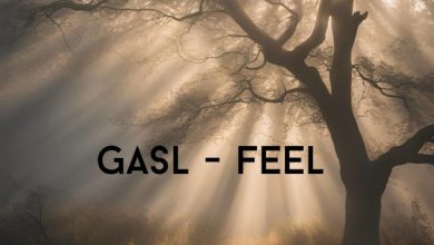 GASL - feel