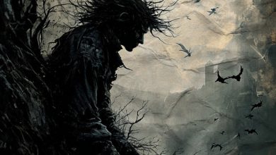 Rasmus - In The Shadow(Nopartager Remix)