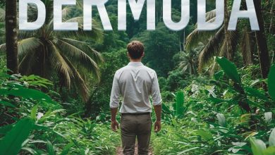 Kotno - Bermuda factor