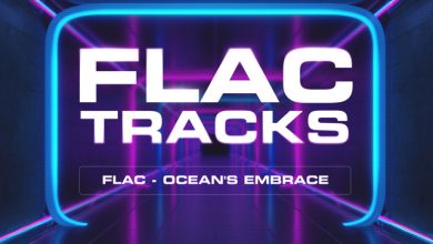 FLAC - Weightless