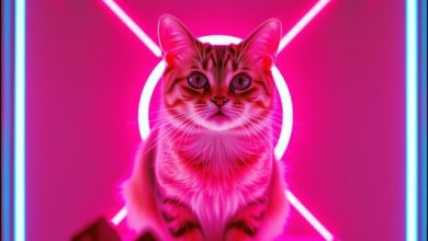 Purrfect Beat - Meowmentum