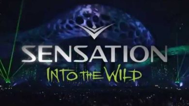 P L A N B E E R pres. --- Special Mix for Sensation Station RadioShow # 13 ( INTO THE WILD )