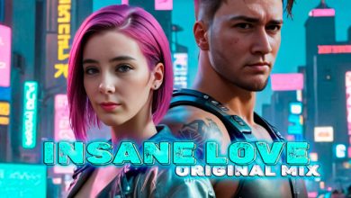 DJ Mixture - Insane Love (Original Mix)