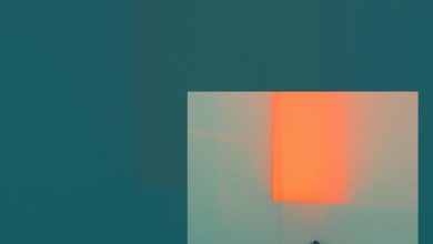 МУЗГОСТ #419 @ Music Podcast [09.05.25] #419
