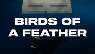 Billie Eilish - BIRDS OF A FEATHER (Alex Caspian Remix)