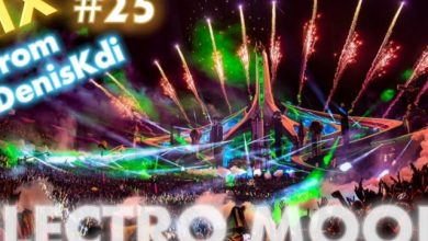 DJ DenisKdi - Electro Mood Mix #25