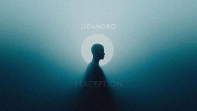 Denmoro - Perception