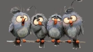 Funny Feelings