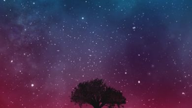 Vilan Kaleev - Lost In Space
