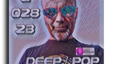DJ Roman Dizel - Z028 pop 110bpm #28