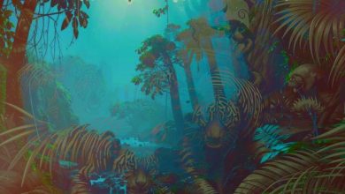 Tooill - Jungle Rumble