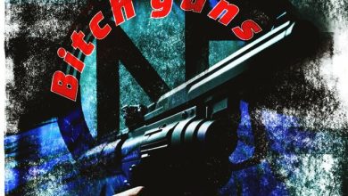 NR Nicholas Ray - B@tch guns(Original mix)