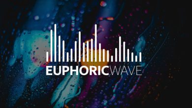 Mr. E Double V - Euphoric Wave Vol.380 (29-01-2025) #380