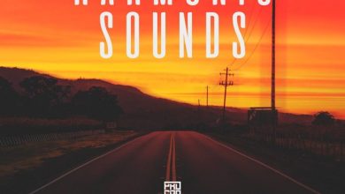 Shankel - Harmonic Sounds #119