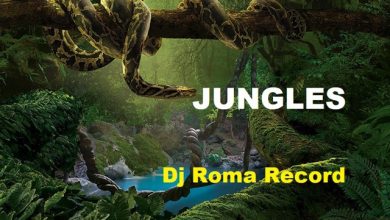 Dj Roma Record - Jungles 10 (final)