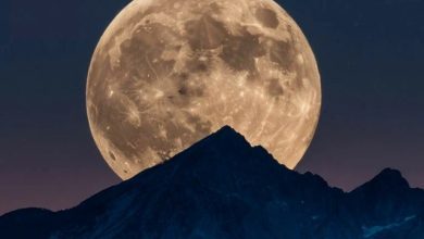 DJ Шмель - FULL MOON 2025