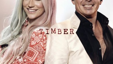 Pitbull feat. Kesha x Joe Stone - Timber (Dark Friendym Blend Edit)