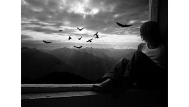 librina-Between the lines...