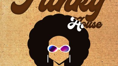 El Magniphico - The Best Funky House 2o24 Pt 2